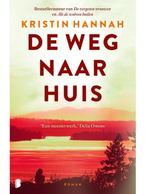 de-weg-naar-huis-9789049206093