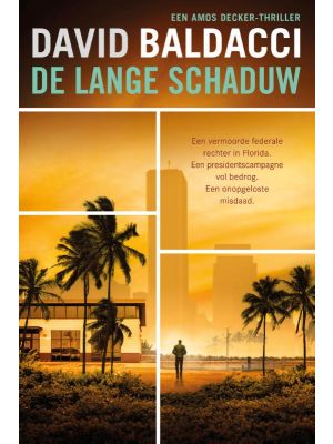 De lange schaduw