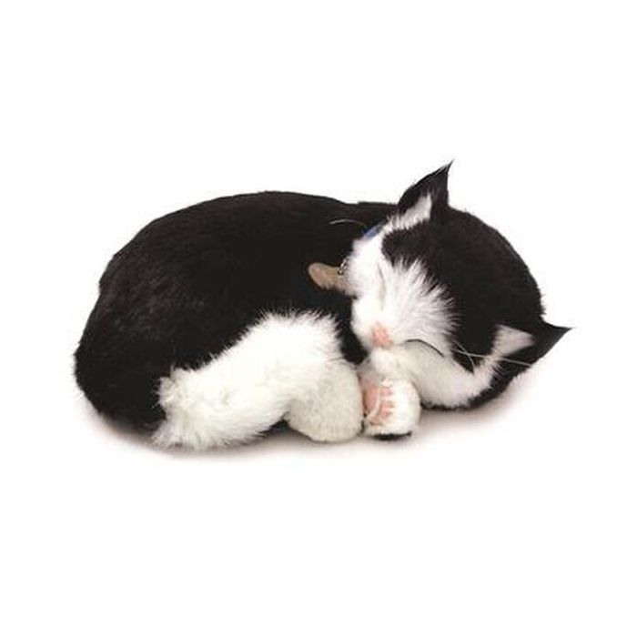 Teleurgesteld Respectvol weefgetouw Knuffel Perfect Petzzz - soft kat black & white shorthair