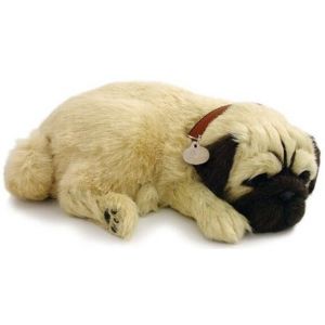 Humanistisch kopen Frustratie Knuffel Perfect Petzzz soft mopshond (pug)