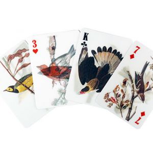 speelkaarten-3d-vogels-kikkerland-10934427