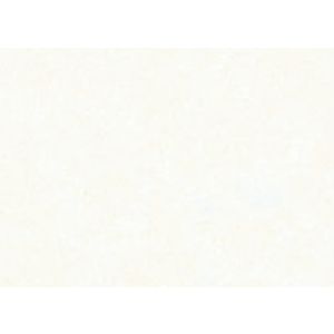zijdevloeipapier-folia-50x70cm-20g-nr-00-wit-141930