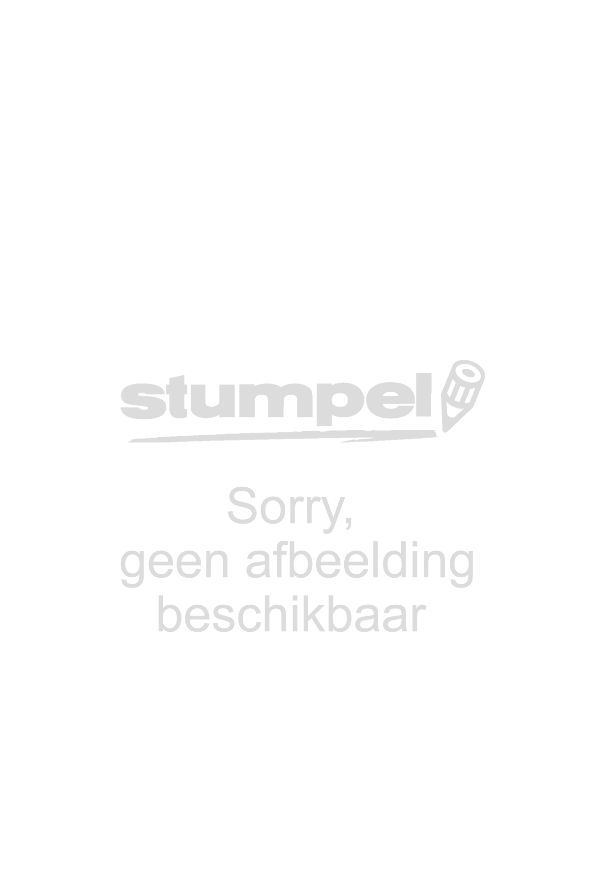 amsterdam-standard-series-acrylverf-tube-120-ml-van-dijckbruin-403-10097561