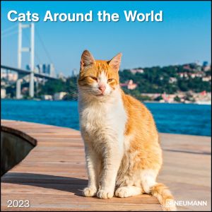 kalender-2023-30x30-cats-around-the-world-11162164