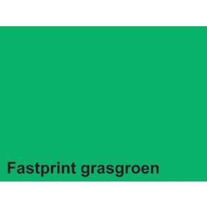 kopieerpapier-a4-160gr-fastprint-grasgroen-pak-250-vel-746039
