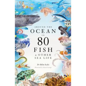 around-the-ocean-in-80-fish-and-other-sea-life-9781399602785