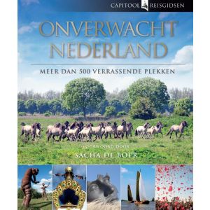 onverwacht-nederland-9789000325382