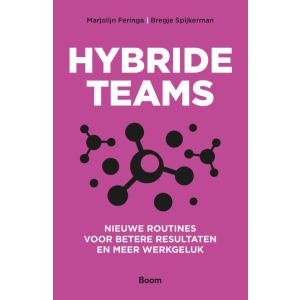 Hybride teams