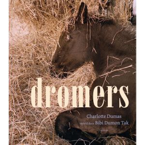 Dromers