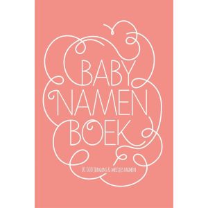 babynamenboek-9789045320595