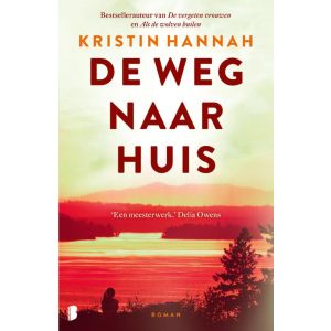 de-weg-naar-huis-9789049206093