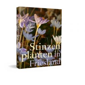 Stinzenplanten in Friesland