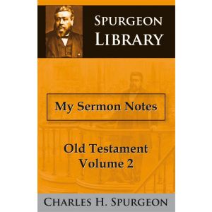 my-sermon-notes-old-testament-ii-9789057190896