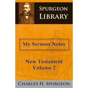 my-sermon-notes-new-testament-2-9789057190919