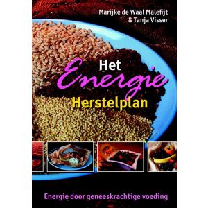 het-energie-herstelplan-9789063787691