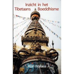 inzicht-in-het-tibetaans-boeddhisme-9789071886140