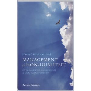management-en-non-dualiteit-9789077194058