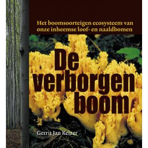 de-verborgen-boom-9789077408988