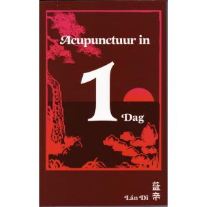acupunctuur-in-een-dag-9789079212019