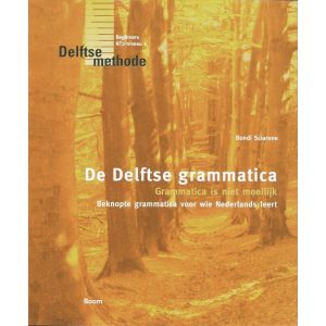 de-delftse-grammatica-9789085066088