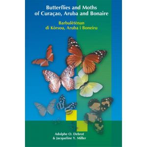 butterflies-and-moths-of-curacao-aruba-and-bonaire-barbuletenan-do-korsou-aruba-i-boneiru-9789088507649