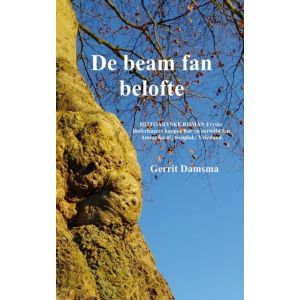 de-beam-fan-belofte-9789402162585