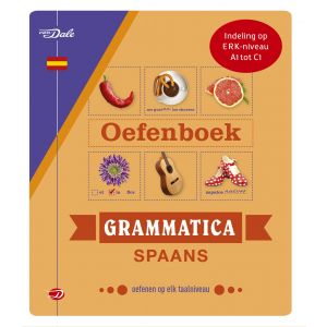 van-dale-oefenboek-grammatica-spaans-9789460775000