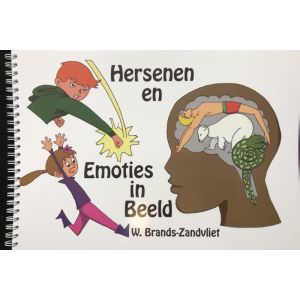 Hersenen en emoties in beeld