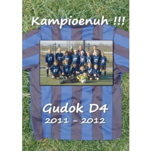 gudok-d4-2011-2012-kampioenuh-9789462548619
