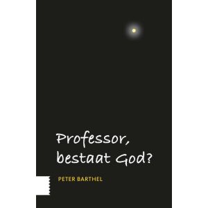 professor-bestaat-god-9789462984639