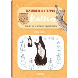 katten-tekenen-in-10-stappen-taschen-librero-11102744