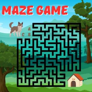 MAZE Games