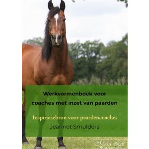 werkvormenboek-voor-coaches-met-inzet-van-paarden-9789464923636