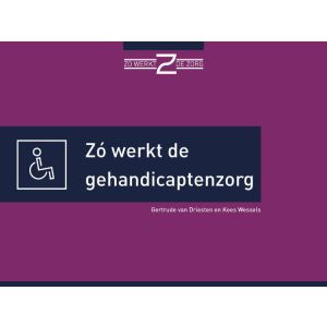 zó-werkt-de-gehandicaptenzorg-9789493004122