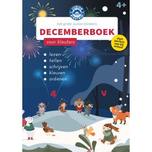 Het Grote Junior Einstein Decemberboek