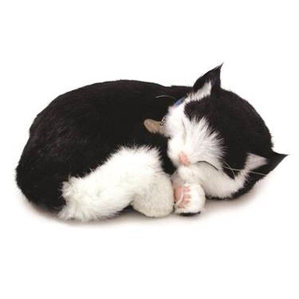 Knuffel Petzzz - soft kat black & white shorthair