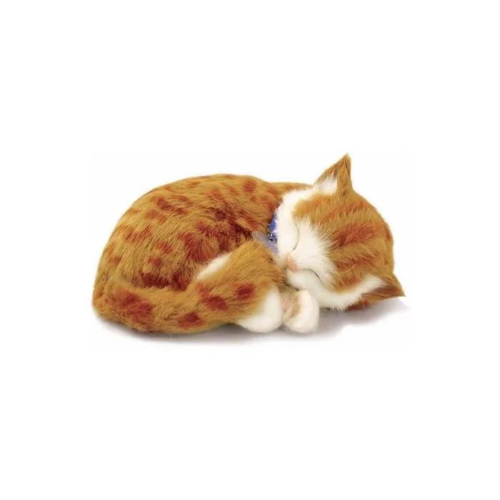 Perfect petzzz orange tabby discount