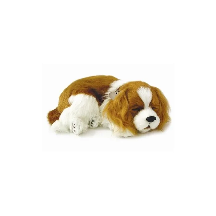 Knuffel Perfect Petzzz soft hond Cavalier King Charles
