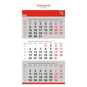 kalender-2019-driemaandskalender-30-5x59cm-336041